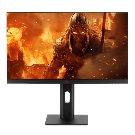 ECRAN PLAT GAMING 24' 180HZ NOVA