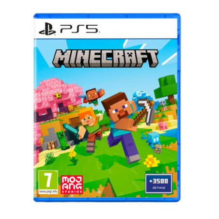 PS5 MINECRAFT GAME