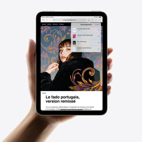 IPAD MINI WI-FI + CELL 5G A17 PRO 256 GO GRIS SIDERAL