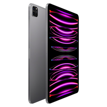 IPAD PRO 11 256 GO WIFI GRIS SIDERAL 2022