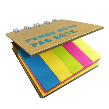 CARNET DE NOTES PENSE-BETE PAS BETE BLEU