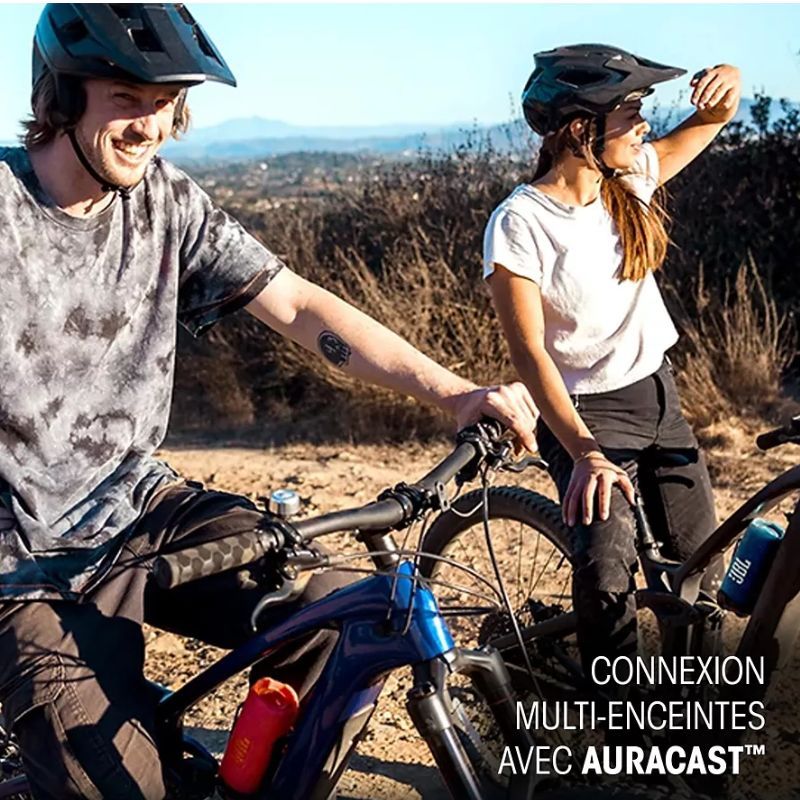 ENCEINTE SANS FIL FLIP 7 ROUGE