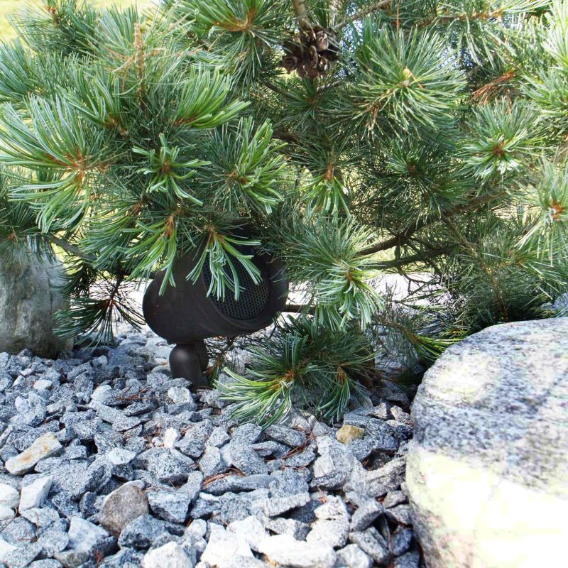 SYSTEME ENCEINTES LS4T 70V NOIR