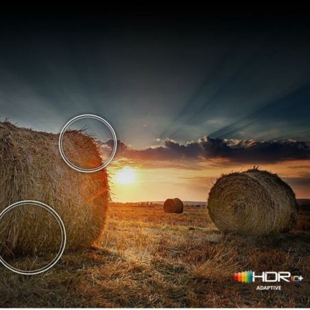 TV 4K UHD QLED TQ85Q60D SMART TV 85'' A24