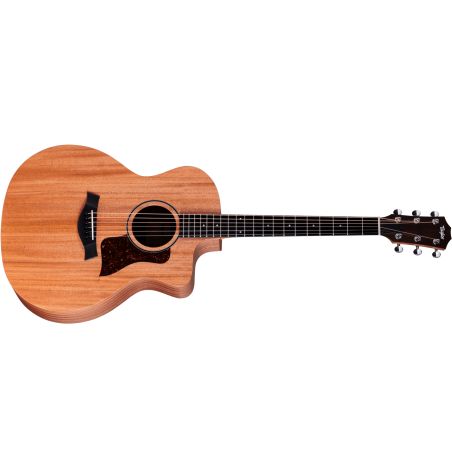 GUITARE ELECTRO ACOUSTIQUE 24CE EPICEA AVEC SONITONE GT-2