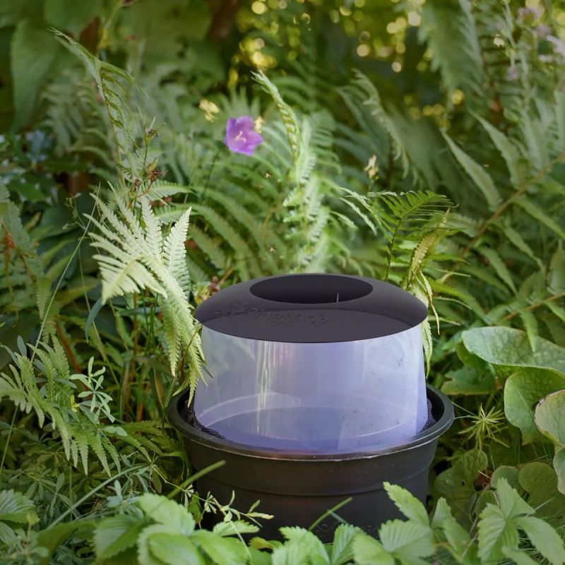 PIÈGE À MOUSTIQUES TIGRES D’EXTÉRIEUR NON ÉLECTRIQUE (X2)