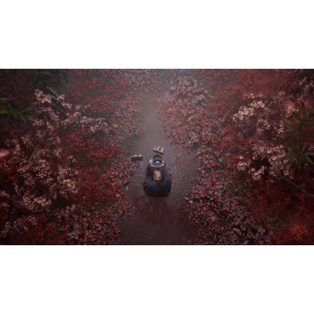 JEU PS5 SILENT HILL F VF