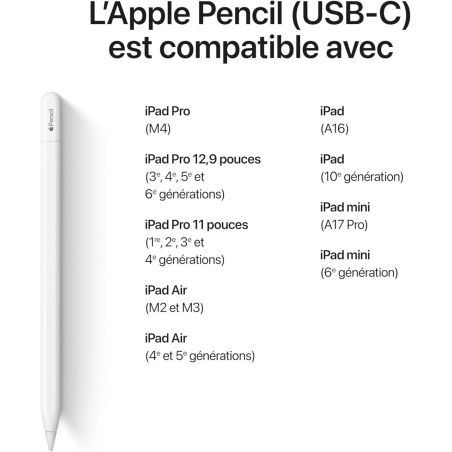 STYLET APPLE PENCIL BLUETOOTH - USB C