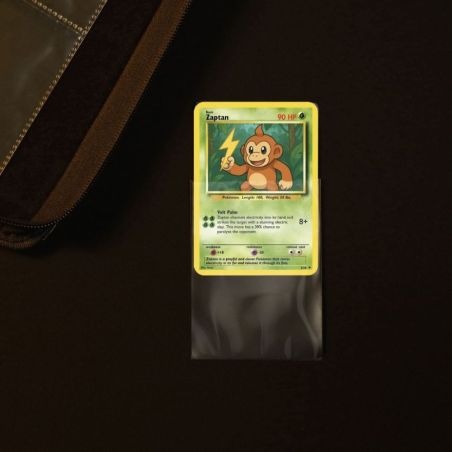 BLACK MATE CARD PROTECTORS X100