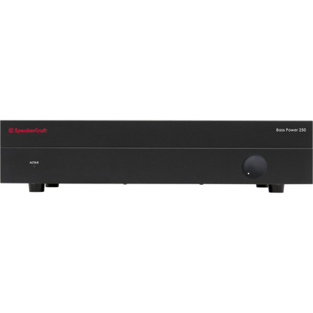 BASS POWER 250 AMP MONO SUBWOOFER AMPLIFIER