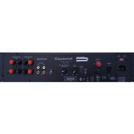 AMPLIFICATEUR MONO DE CAISSON DE BASSE BASS POWER 250 AMP