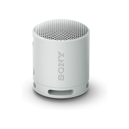 ENCEINTE BLUETOOTH PORTABLE SRS-XB100 GRIS